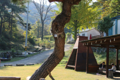 KakaoTalk_20251216_222005038_02-scaled