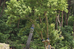 KakaoTalk_20251216_222005038_05-scaled