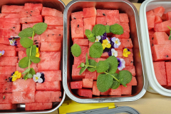 KakaoTalk_20260629_074621850_02